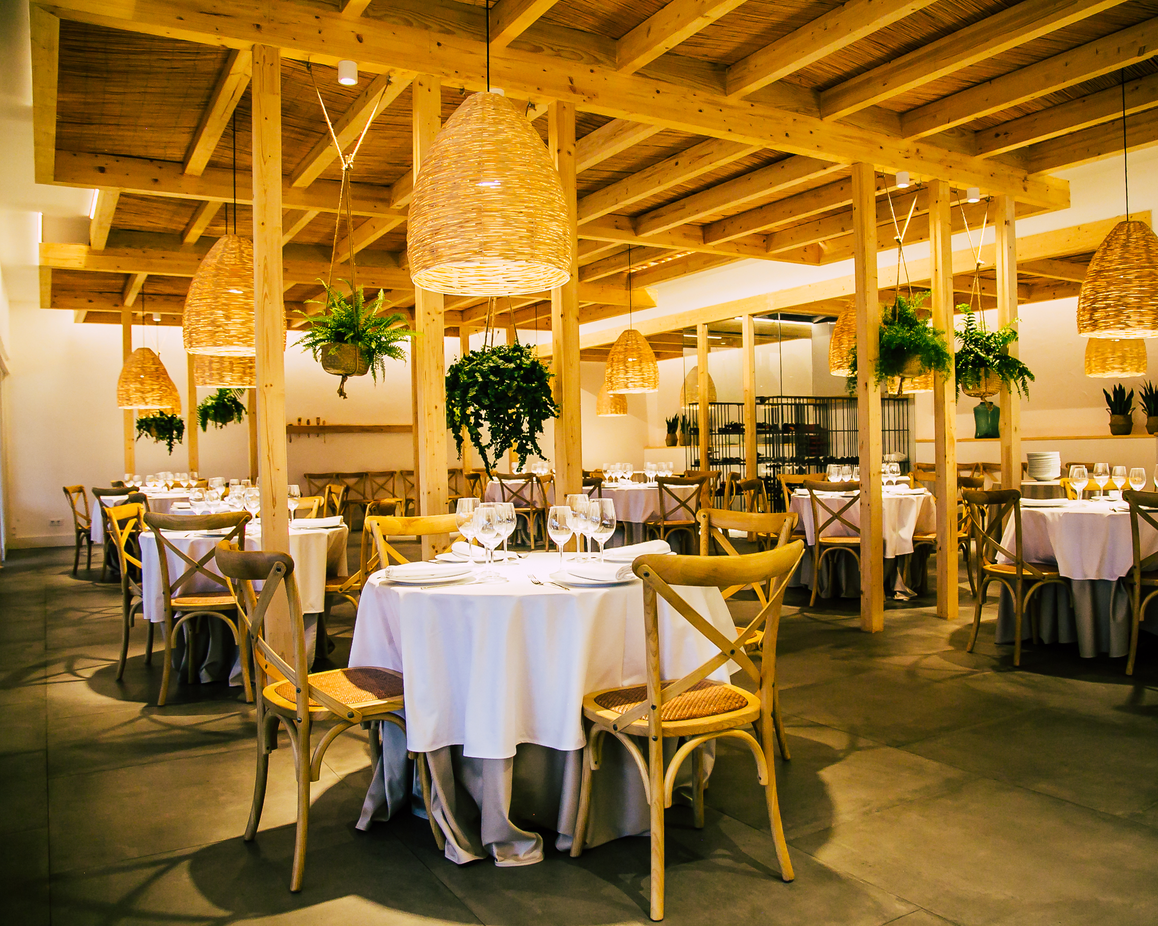 Interiorisme per a restaurants: com crear espais que funcionin i emocionin 7 Disseny amb il·luminació ambiental i separadors naturals